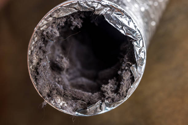 Best Residential Air Duct Cleaning  in Kapn, LA